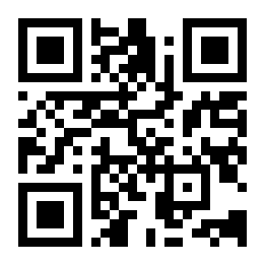 QR-код MAX